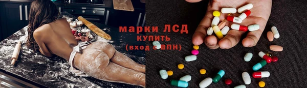 сатива Сатка